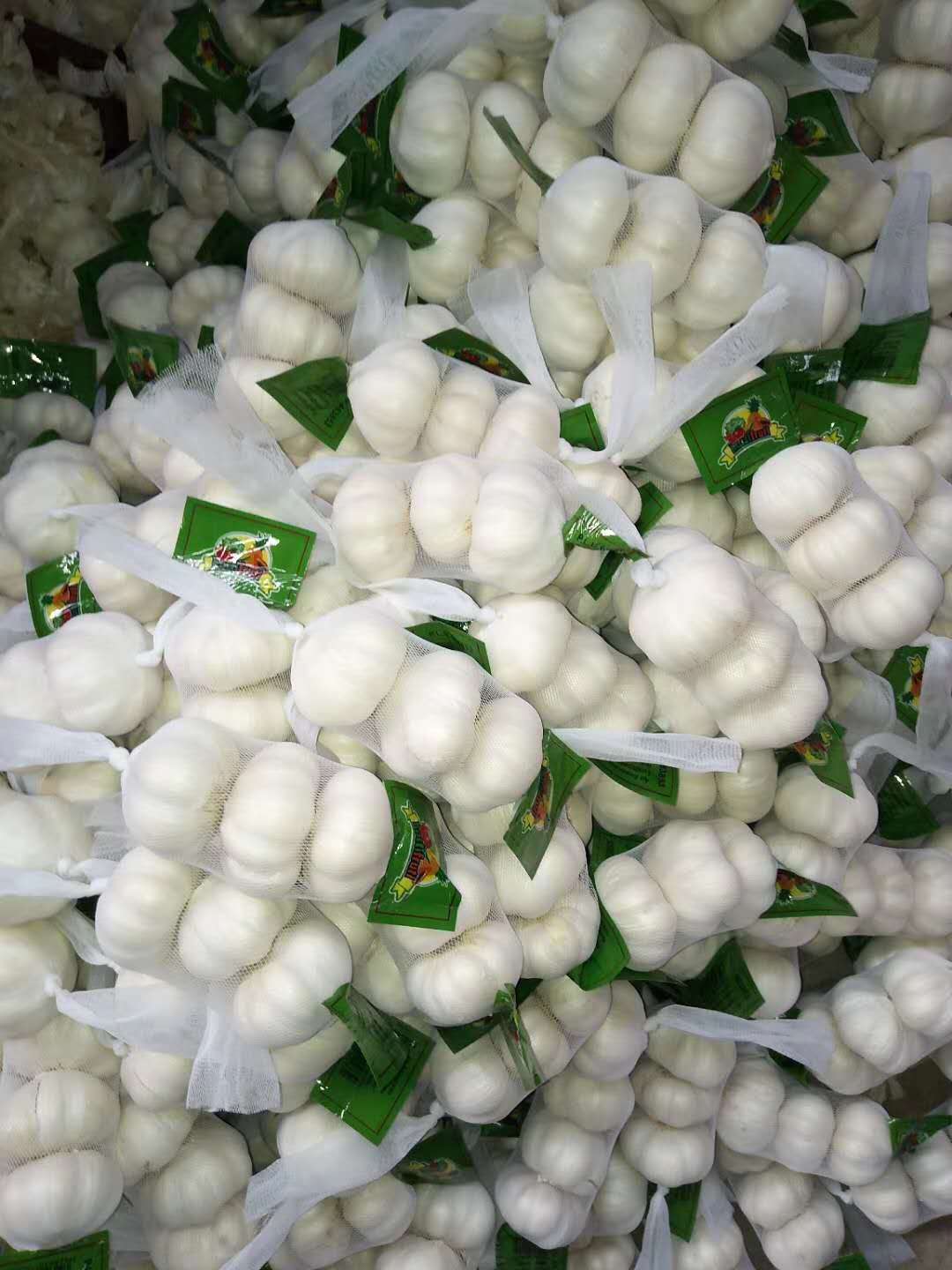3p pure white garlic