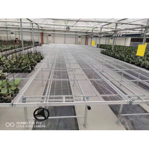 Agriculture Seed Bed for Vegetable Greenhouse Manufacturers and Agriculture Seed Bed for Vegetable Greenhouse Suppliers