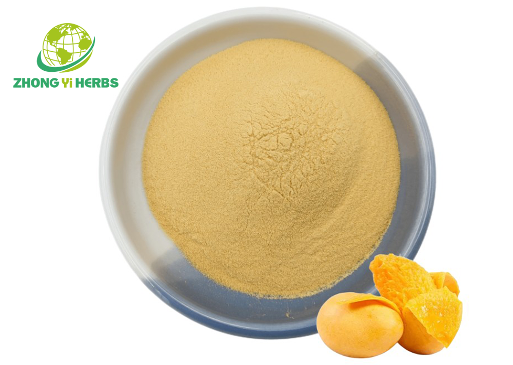 Mango Juice Powder