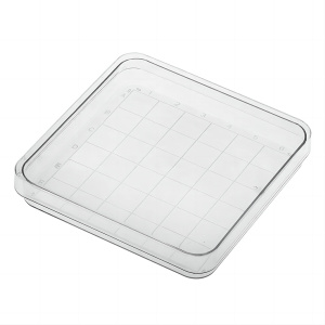 Square Petri Dish, 100 x 100mm with Grid