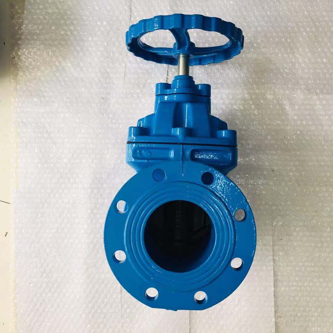 Soft seal blind rod gate valve (7)
