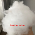 Feather velvet