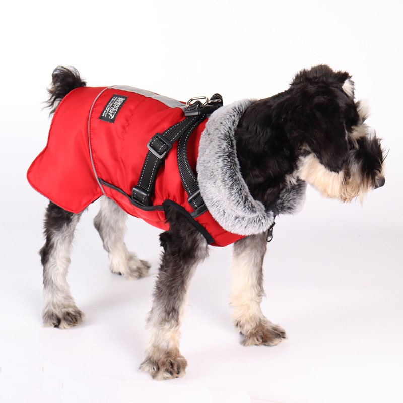 Pet Clothing In Bulk