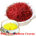 Iran Imported Saffron 3g Wild Premium Saffron, Organic Saffron