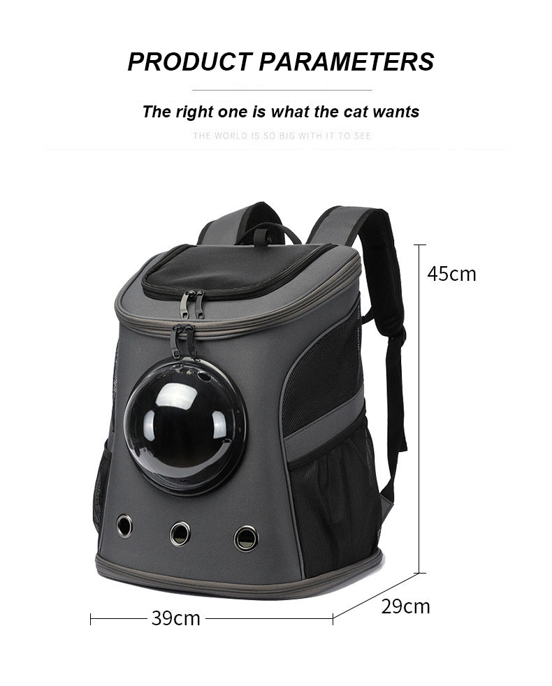 Pet Travel Carrier