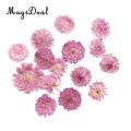 10x Pressed Real Dried Flower Dry Leaves for DIY Crafts Bookmark Card Making