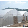 High Agricultural poly tunnel Green House tomato greenhouse