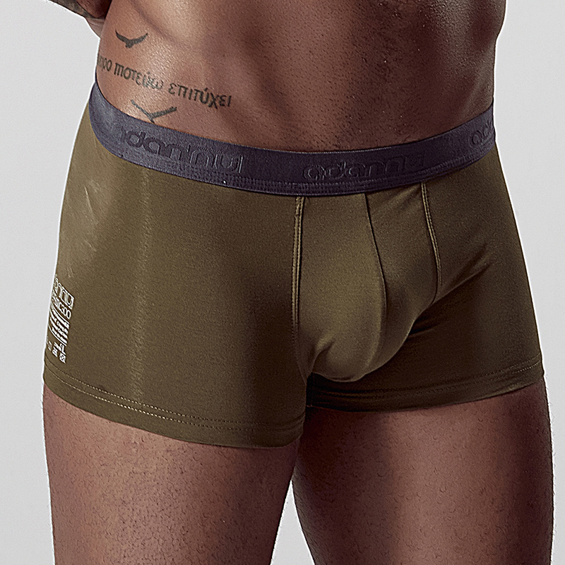 Sexy Men Underwear Boxer Shorts Solid Cotton Men Underpants Lingerie Breathable Cueca Male Panties Modal Boxershorts Men AD304