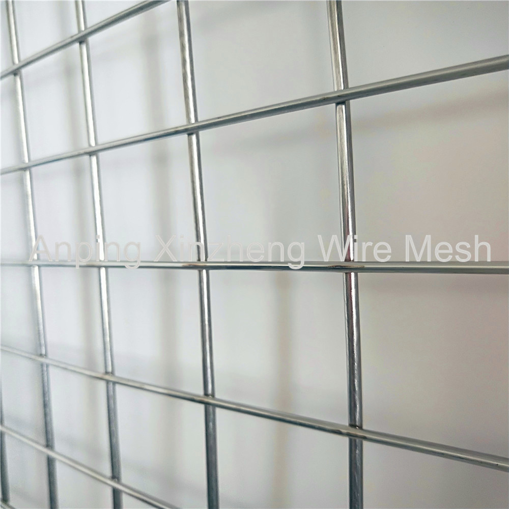 Ss Welded Mesh15