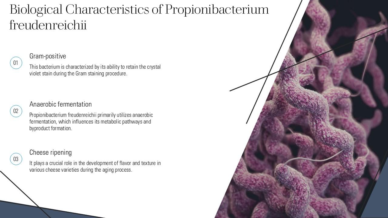 propionibacterium freudenreichii8