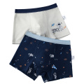 2Pcs Lot 2 To 14 Years Boys Underwear Boxer Elephant Dinosaur Design Kids Cotton Briefs Children's Panties Soft Shorts ZL89