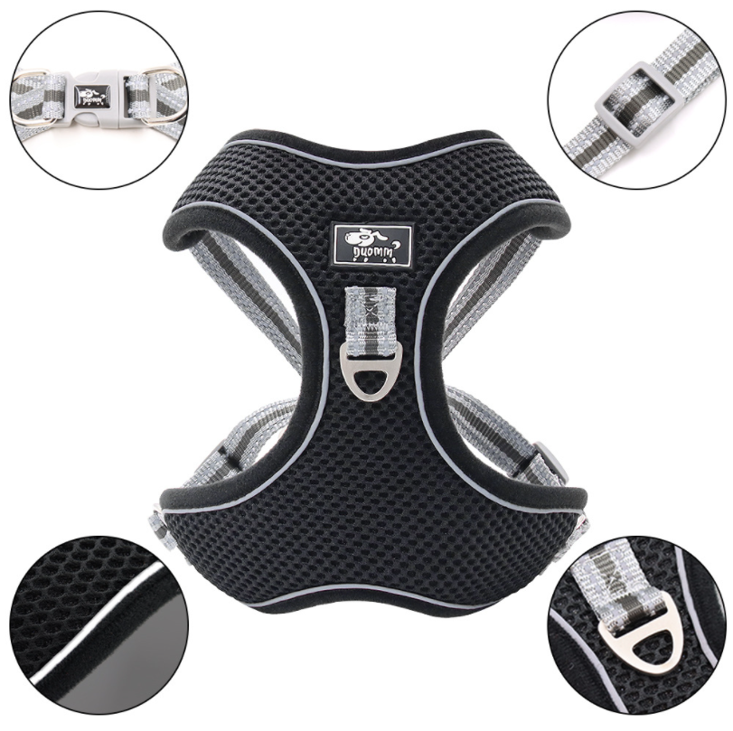 Dog Harness And Leash Set Petco