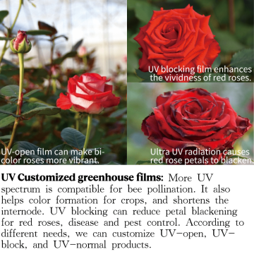 UV Customized greenhouse films