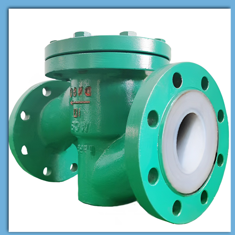 Fluorine Lined Check Valve
