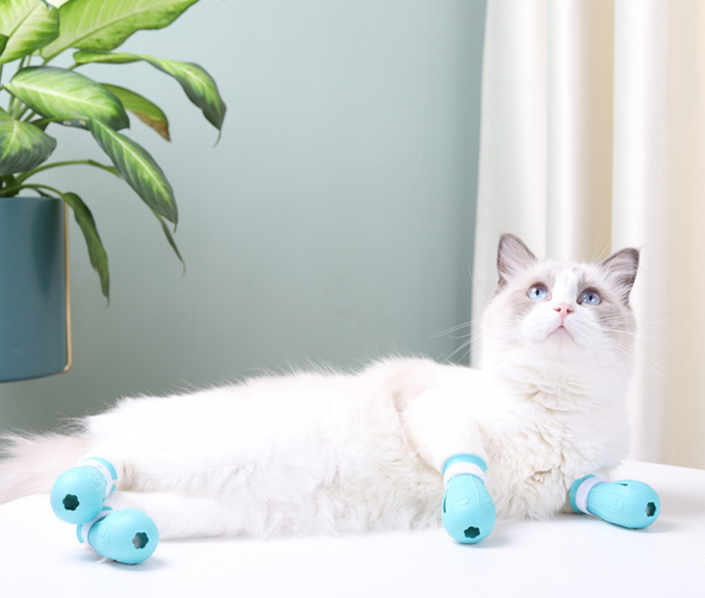 Pet Grooming Shoes