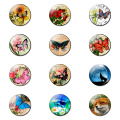 12pcs Animal and Fllower 25MM Fridge Magnet Glass Note Holder Decoration Refrigerator Magnetic Sticker Home Decor Cute Kids Gift