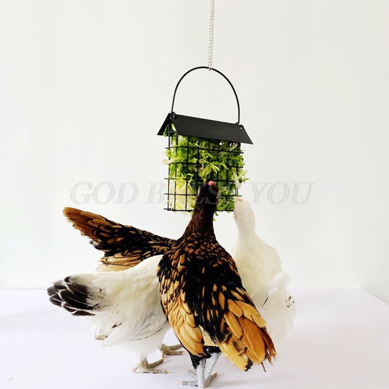 Chicken Feeder Basket Chicks Foraging Toy Metal Hanging Birdfeeders Bird Feeding Device for Small Parakeets Cockatiels