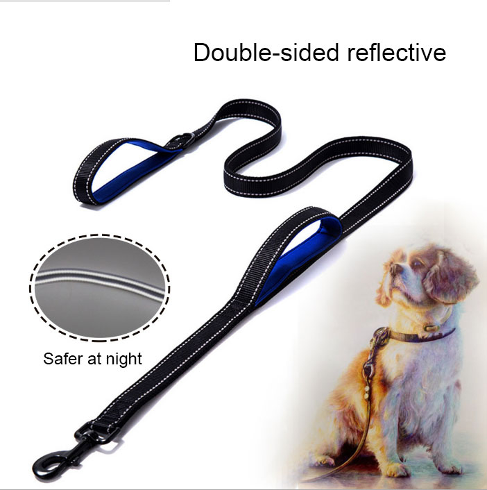 Dog Leash Durable