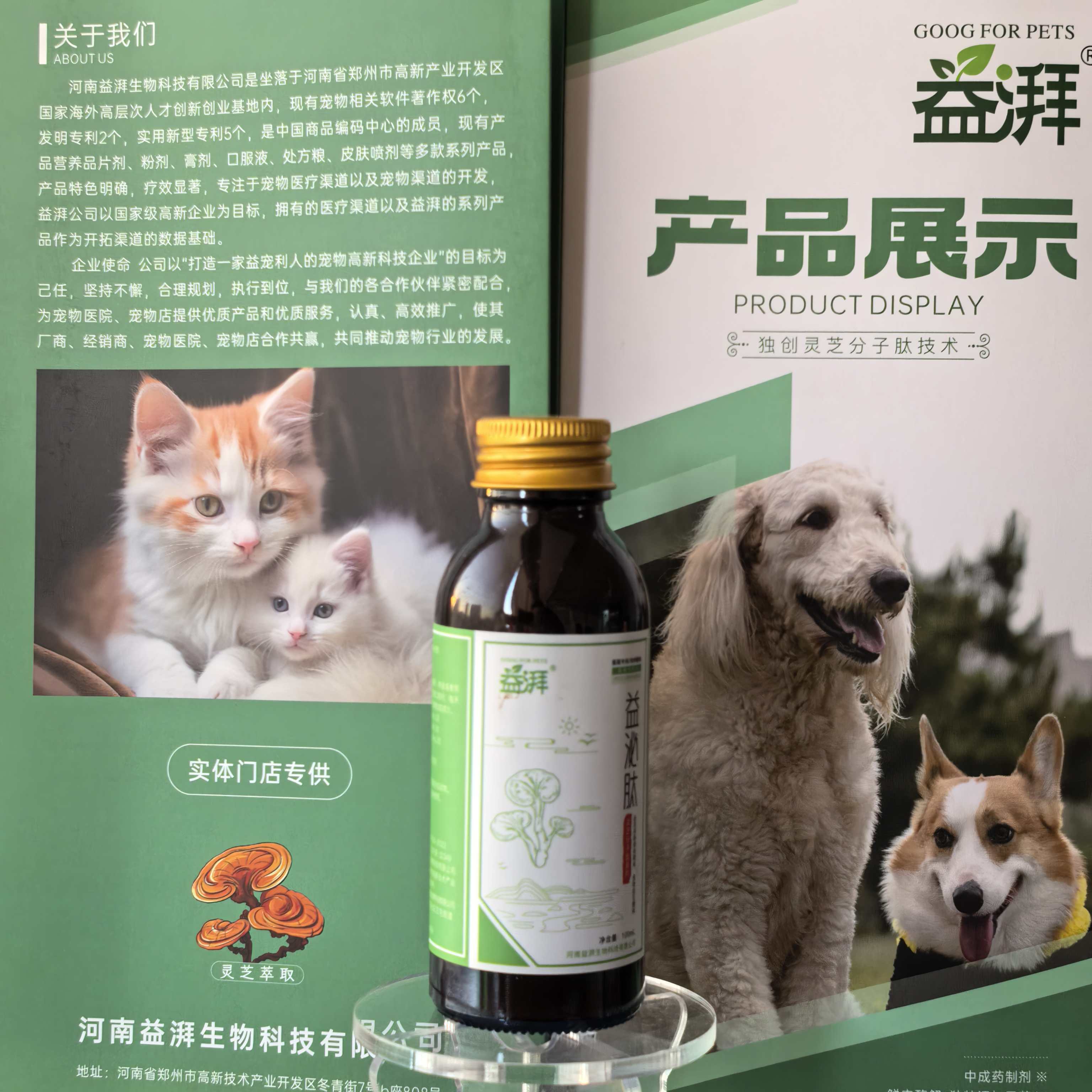 Pet UTI Treatment Potassium Citrate Liquid Supplement
