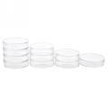 10pcs 100mm Clear Petri Dishes Affordable For microorganisms Cell Clear Sterile Chemical Instrument Drop Shipping