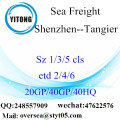 Shenzhen Port Sea Freight Shipping To Tangier