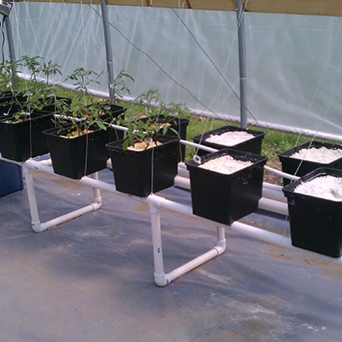 Dutch Buckets Irrigation System for GrowingTomatoes Manufacturers and Dutch Buckets Irrigation System for GrowingTomatoes Suppliers