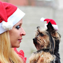 Cat Dog Santa Hat Cloak Pet Cosplay Costume Xmas Kitten Puppy Red Caps Party Dress Up Apparel Christmas hats Pets Accessories