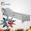 Industrial Fruit Bubble Washing Machine With Top Water