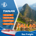 https://www.bossgoo.com/product-detail/sea-freight-from-tianjin-to-callao-63053969.html