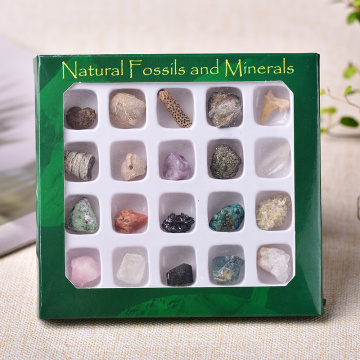20pcs Natural Rock Mineral Specimen irregularity Raw Crystals Souvenir mini Mineral Stone Collection Ornament Gifts for Children