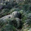 Camouflage Hunting Ghillie Suit Secretive Hunting Aerial Shooting Clothes Sniper Suits Camouflage Clothing With Cover Bags