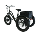 hall sensor rangka beltdrive electric tricycle