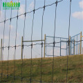 Popular Fixed-Knot Deer Fence Farm Fence in Africa