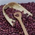 New crop 2017 Small Red Kidney Beans