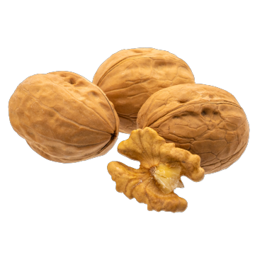 Crispy Roasted Walnut Kernels