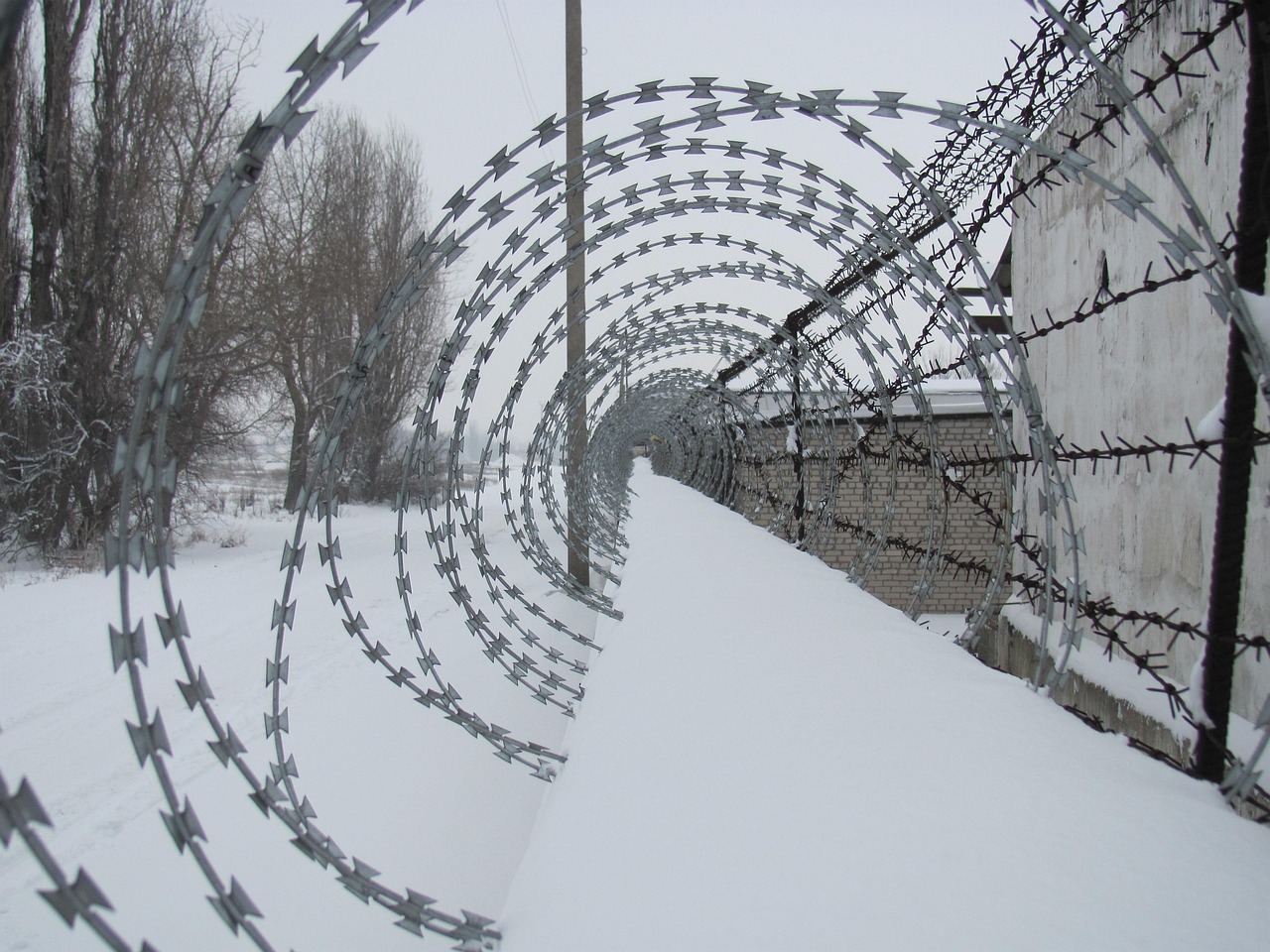 razor wire flat wrap