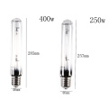 Grow Light HPS Lamp E40 250W/400W High Pressure Sodium Flower Bulb Flowers Vegetables Plant Grow Lamp For Ballast 1pcs