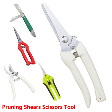 Gardening Secateurs Scissor Stainless Steel Garden Scissors Grafting Tool Fruit Tree Pruning Shears Bonsai Pruners Garden Shear