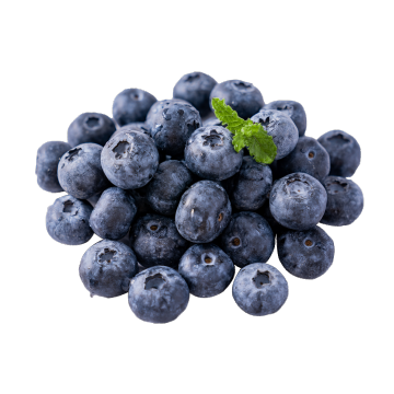 Premium Blueberries for Luxury Retail and Hospitality
