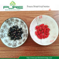 Bulk FD Fruit Freeze Dried Goji Without Additives