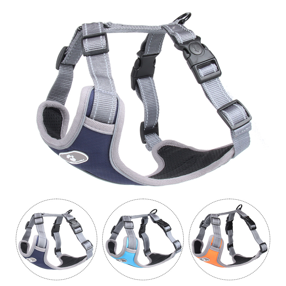 Dog Harness Amazon
