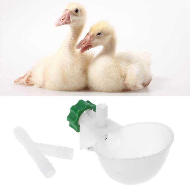 5Pcs Bird Chicken Drinking Bowl Poultry Water Feeding Cup Plastic for Duck Goose Pigeon Automatic Drinker Farm Animal Supplies