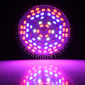 Leds Grow Light Full Spectrum 8W-80W E26/27 Led Plant 18-120LEDs Growing Lamps Light Bulbs Greenhouse Indoor Garden AC85-265V