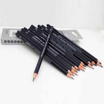 professional 14pcs 6H-12B Pro Art Drawing Sketching Black Simple SET of Pencils for Artist the pencils for drawing school sets