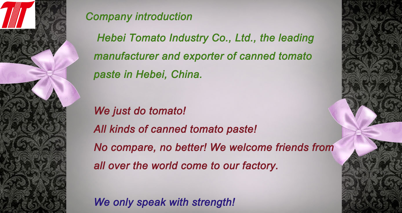 company introduction