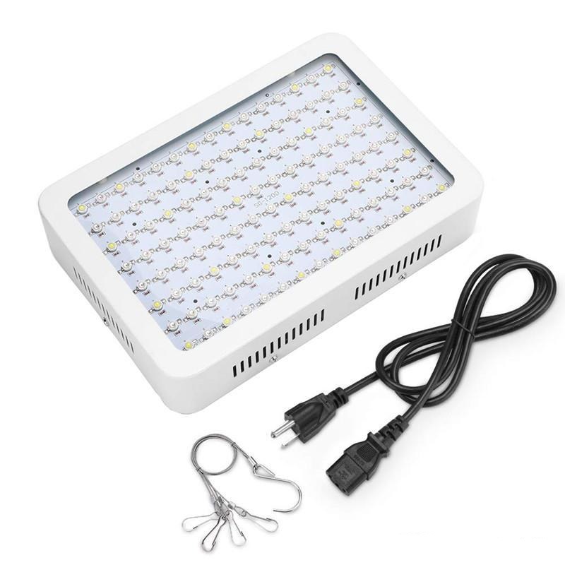 Best Led Grow Lights For Indoor Plants 1000w