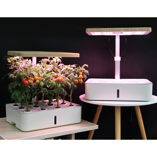 Indoor Intelligent Mini Farm Hydroponic Growing Systems Manufacturers and Indoor Intelligent Mini Farm Hydroponic Growing Systems Suppliers