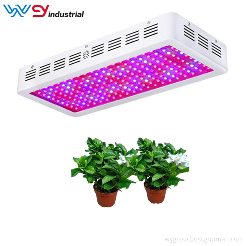 1500w 1000w Led Grow Light For Indoor Garden