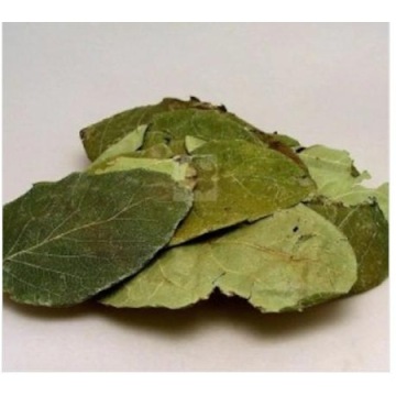 Quince leaf - Cydonia oblonga Natural dried tea herb 50 gr-400 gr Free Shipping