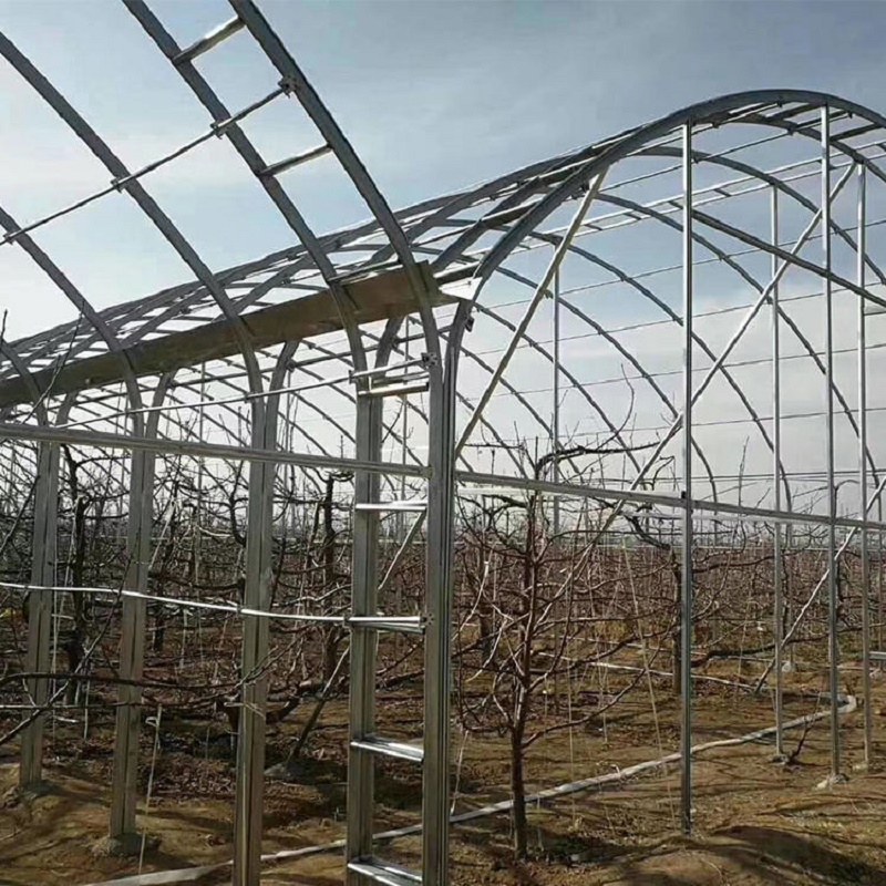 TSX_G3070 Hot Dip Galvanized Steel Pipe1-1